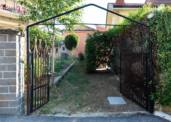 Stefanija أنكاران